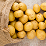 Boule d'or Ingrédient Pommes de terre